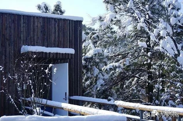 冬日续命必备！我不需要暖气只要一场竹海雪野里的温泉spa